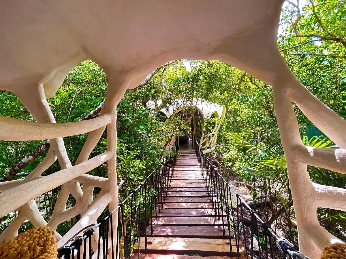 Hotel Ikalar Akumal
