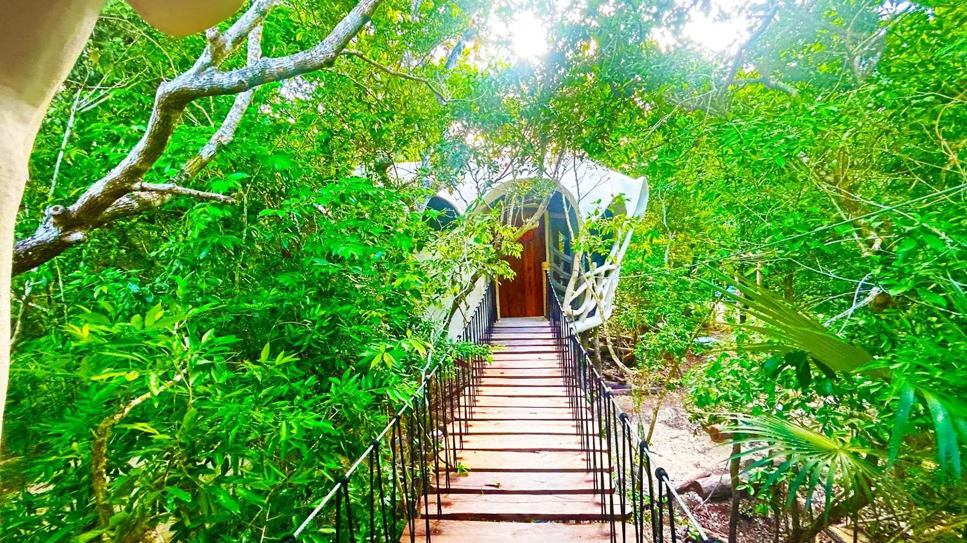 Campingplads Ikalar Hotel Akumal